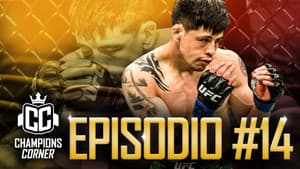 Episodio 14