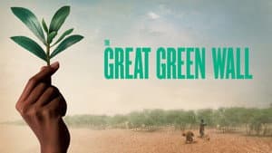 The Great Green Wall — foto 2