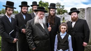 Menashe — foto 2