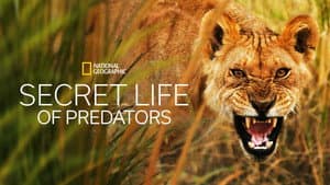 Secret Life of Predators — foto 5