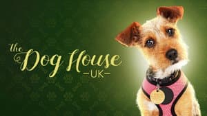 The Dog House — foto 7
