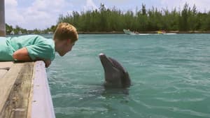 Patada de Delfín (Dolphin Kick) — foto 5