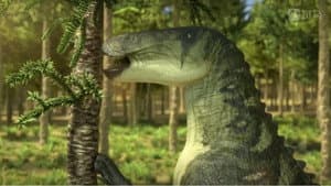 Episodio 8