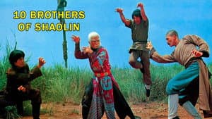 10 Brothers of shaolin — foto 4