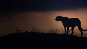 Kalahari: Land of Secret Alliances — foto 1