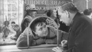 Наши соседи — foto 3