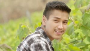 အနမ်းဝိုင် — foto 1