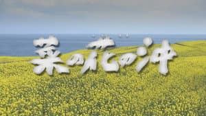 菜の花の沖 — foto 1