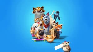 Mascotas unidas — foto 6