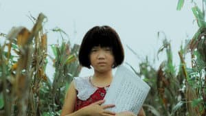 黑風箏 — foto 1