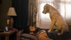 Charlie: Un perro especial — foto 3