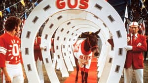 Gus — foto 6