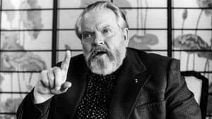 The Eyes of Orson Welles — foto 2