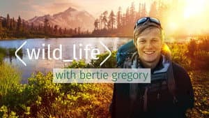 Wild Life with Bertie Gregory — foto 2