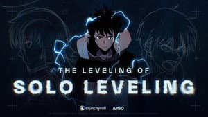 The Leveling of Solo Leveling — foto 1