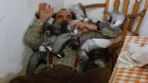 El ataque de los pájaros — foto 1