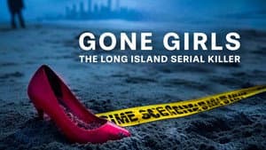 Chicas desaparecidas: El asesino en serie de Long Island — foto 2