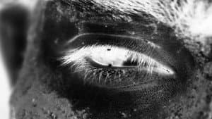 Gioia Ultima — foto 1