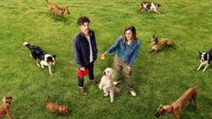 Dog Park — foto 2