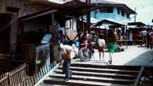 El viento del ayahuasca — foto 2