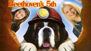 Beethoven 5: El perro buscatesoros — foto 10
