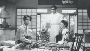 婚約指輪 — foto 1