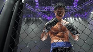 Fists of Legend — foto 3