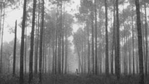 Chapter 9 — foto 2