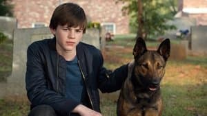 Max — foto 3