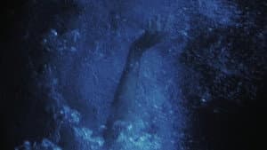 Los melocotones no flotan en el agua — foto 1