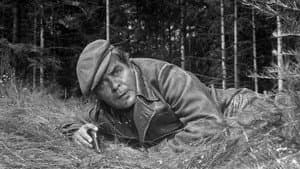 Rozsudek — foto 1
