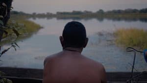 Audio y el Caimán — foto 8