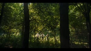 Midnight Coachmen — foto 5