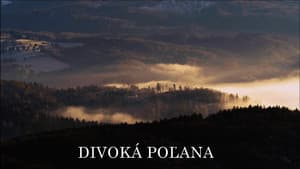 Divoká Poľana: Poľanský jeleň — foto 1