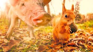 Wild Tales From The Village — foto 11