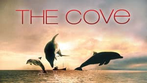 The Cove — foto 4