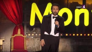 Montreux Comedy Festival 2016 - On va rire de tout ! — foto 1