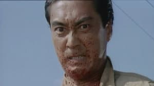 白昼の処刑 — foto 10