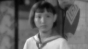 まごころ — foto 4