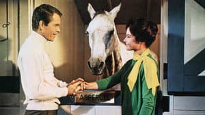 The Horse in the Gray Flannel Suit — foto 2