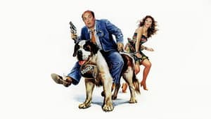 Vai avanti tu che mi vien da ridere — foto 2