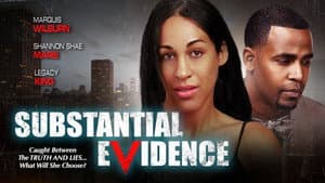 Substantial Evidence — foto 1