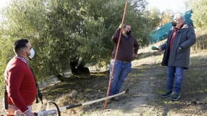 Episodio 8