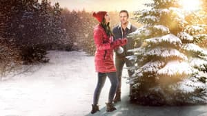 The Christmas Promise — foto 1