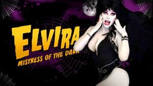 Elvira, la dama de la oscuridad — foto 7