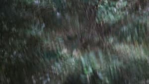 Arma de Luz — foto 1