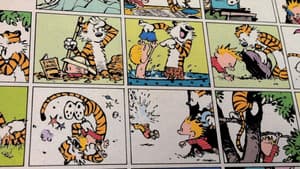 Dear Mr. Watterson — foto 1