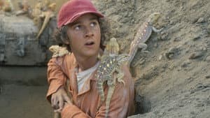 El misterio de los excavadores — foto 3