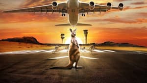 Airport 24/7 — foto 2