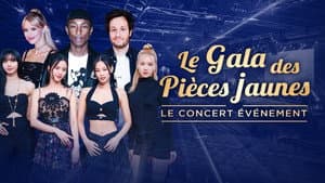 Le Gala des Pièces Jaunes 2023 : Le concert événement — foto 2